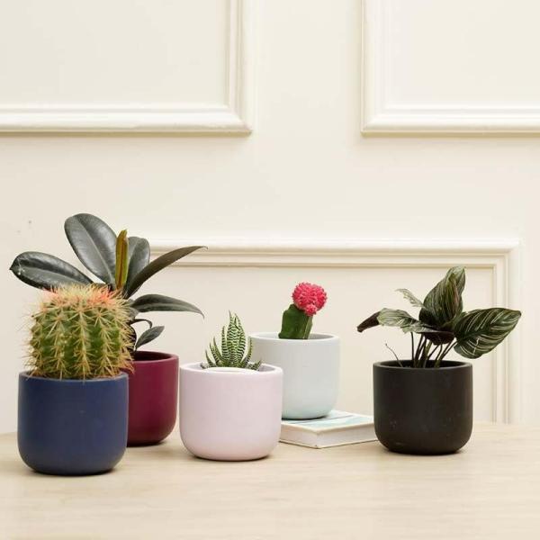 Pots & Planters | Oh-So Cute Planters – Set Of Five Garden Multicolor