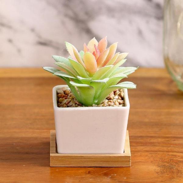 Artificial Flowers & Plants | Faux Aeonium In Square Pot – 10.5 Cms Artificial Flowers & Plants Artificial Flowers & Plants