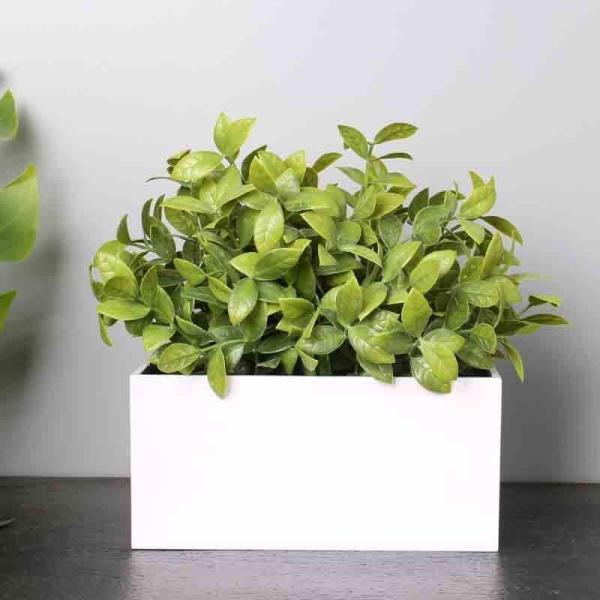 Artificial Flowers & Plants | Faux Bonsai Shrub In Tray (18 Cms) Artificial Flowers & Plants Artificial Flowers & Plants