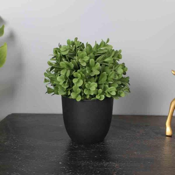 Artificial Flowers & Plants | Lumia Pot With Faux Topiary Plant (25 Cms) Artificial Flowers & Plants Artificial Flowers & Plants